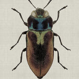 att02-c_3