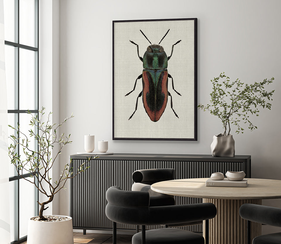 Beetle Subject V (Canvas)