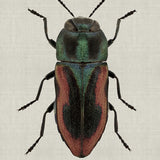 att05-c_3