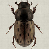 att08-c_3