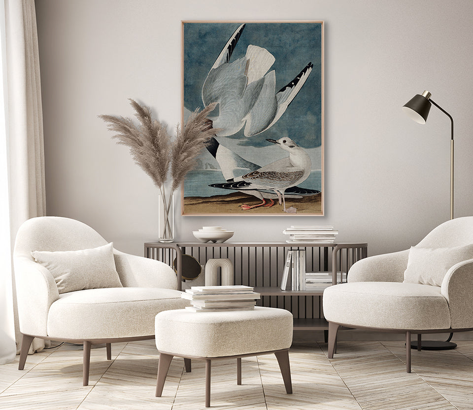 Exquisite Bird IV (Canvas)