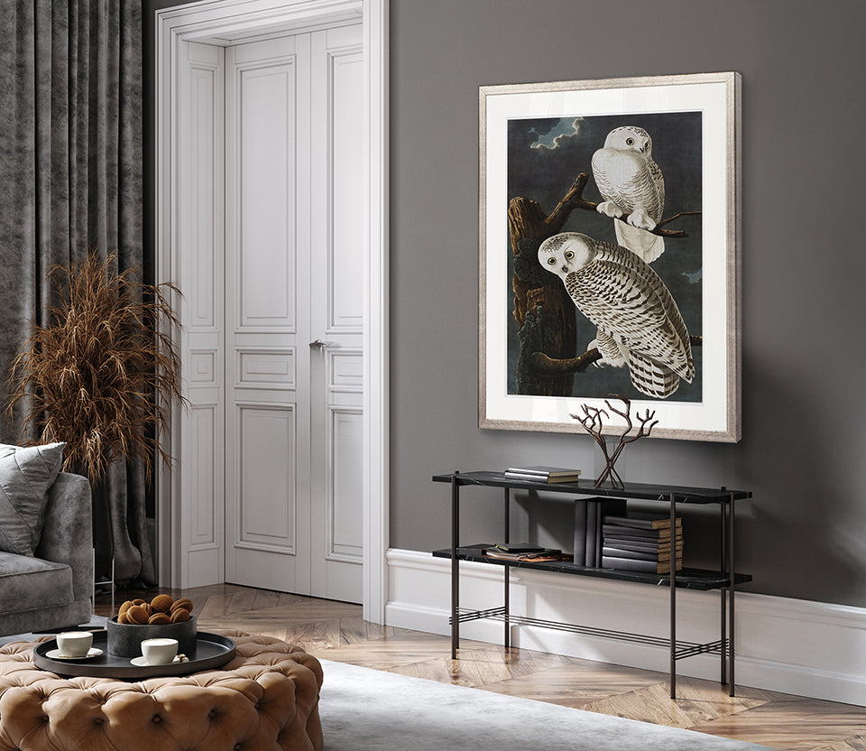 Exquisite Bird V