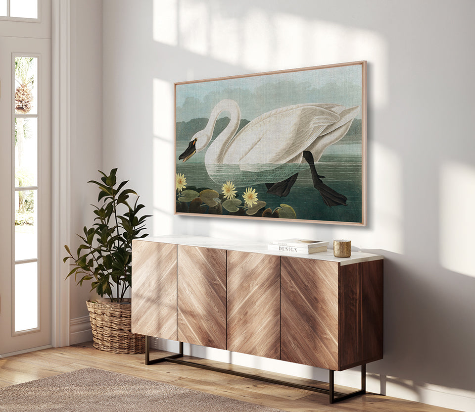 Exquisite Bird VIII (Canvas)