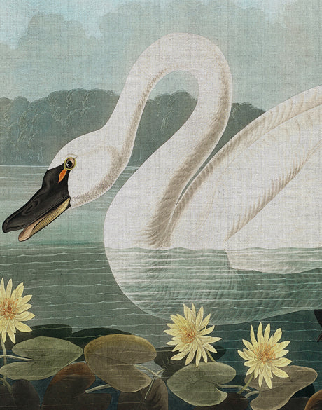 Exquisite Bird VIII (Canvas)