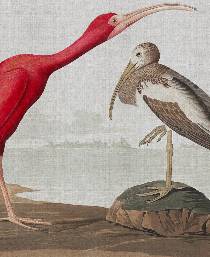 Exquisite Bird X (Canvas)