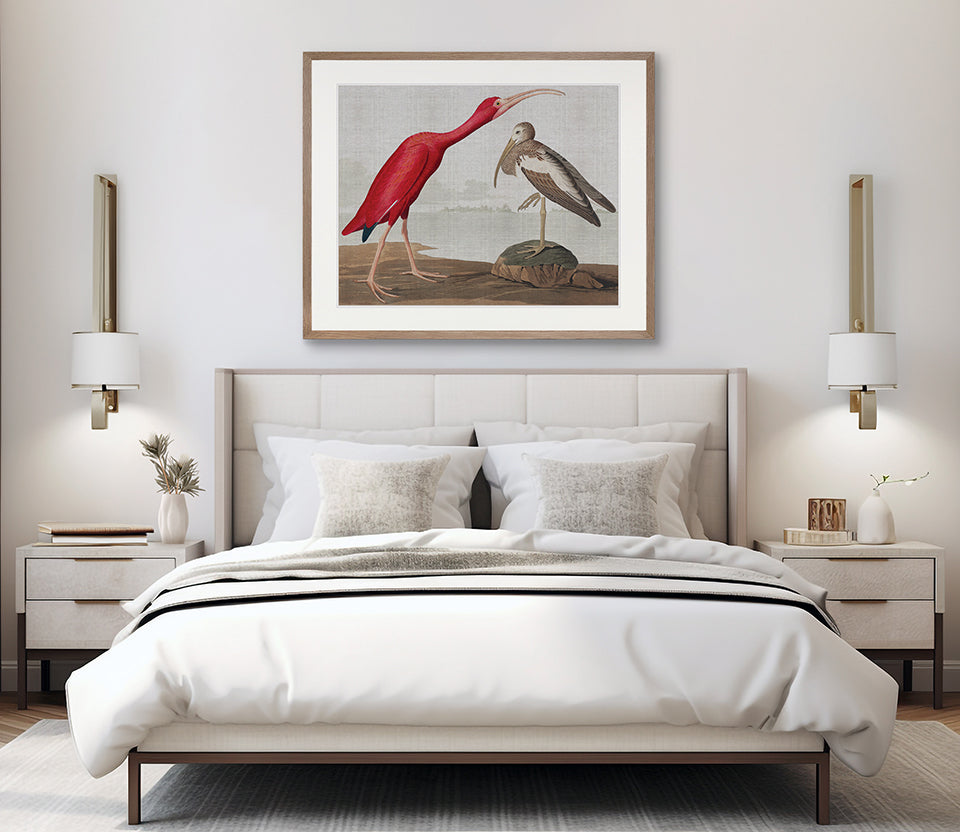 Exquisite Bird X