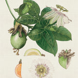 ave01_3