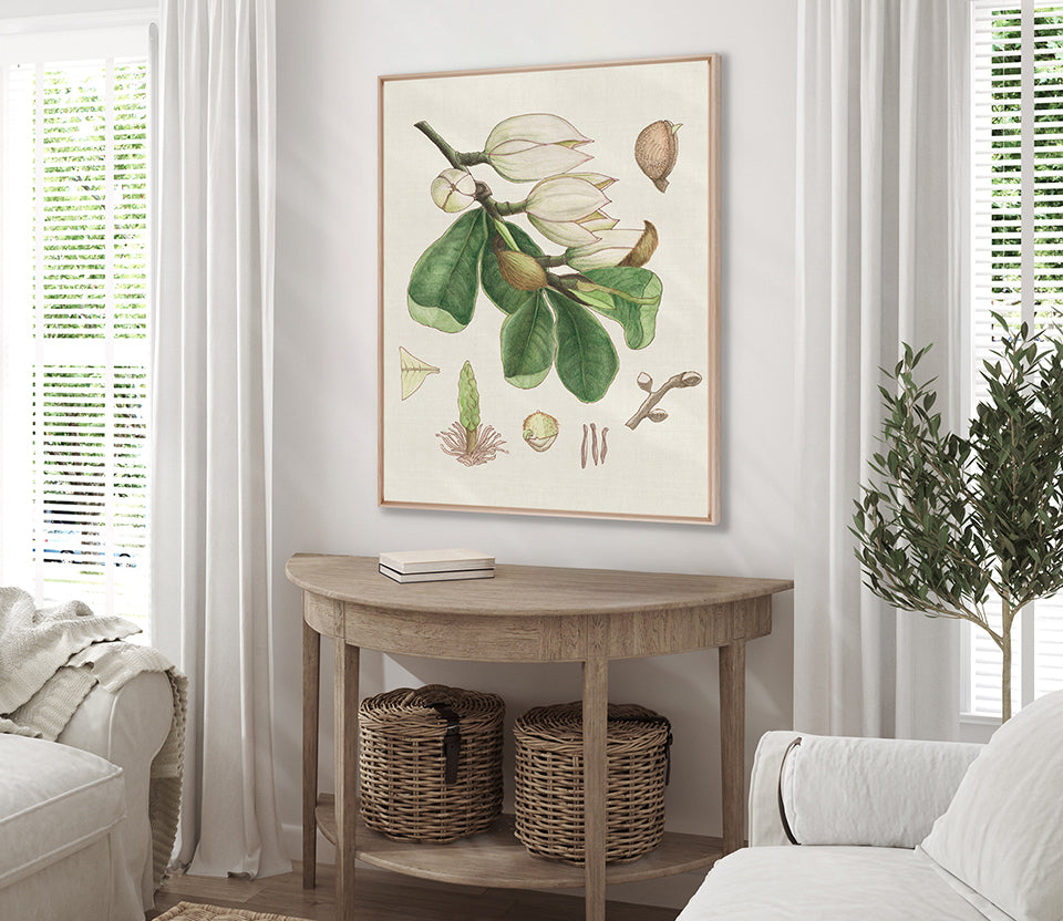 Classic Botanical Study III (Canvas)