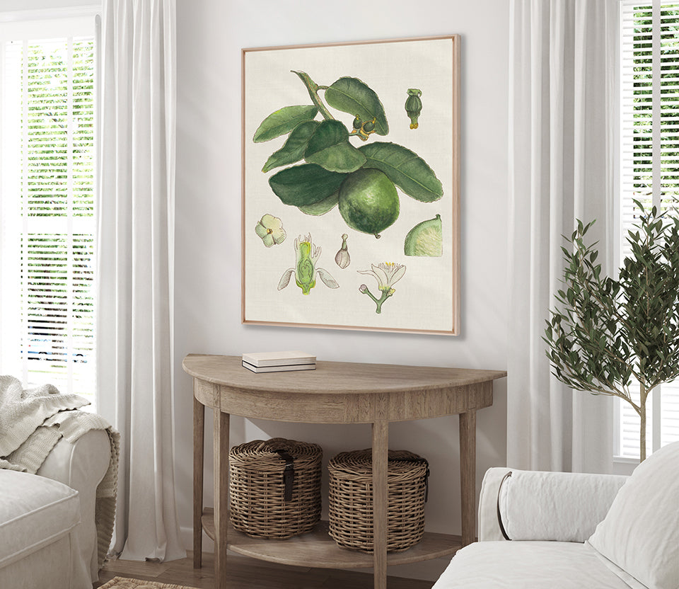 Classic Botanical Study IV (Canvas)