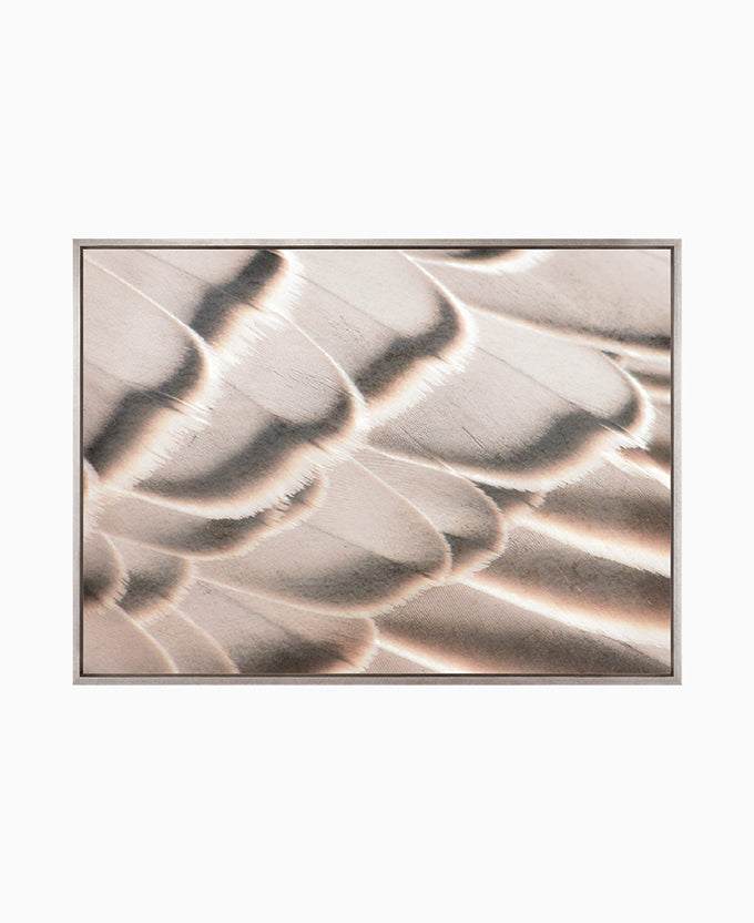 Aviles Feather I (Canvas)