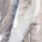 avile02_3
