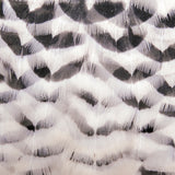 avile03_3