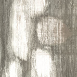 bal01_3