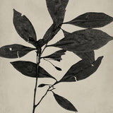 banks01_3