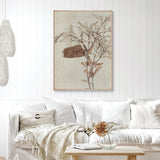 banksia01-c_2