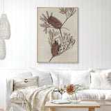 banksia03-c_2
