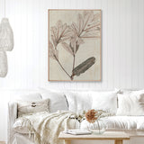 banksia04-c_2
