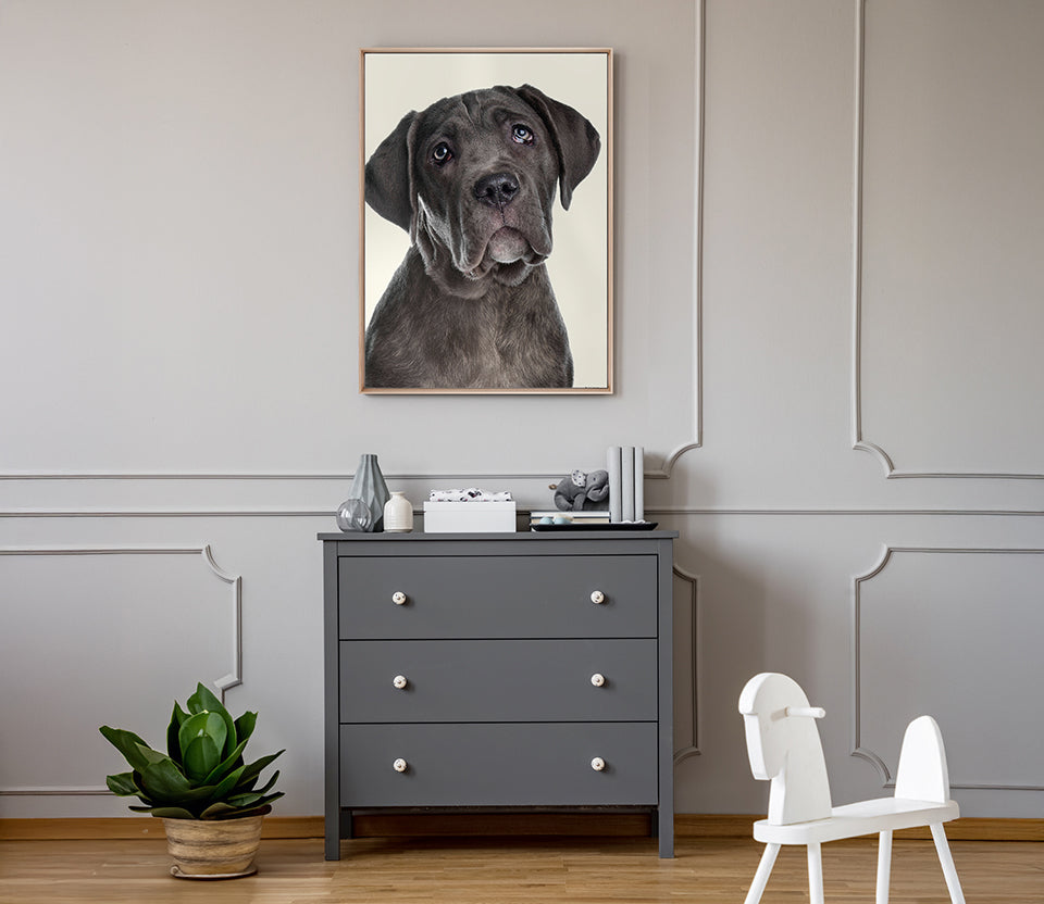Baxter III (Canvas)