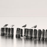bay04_3