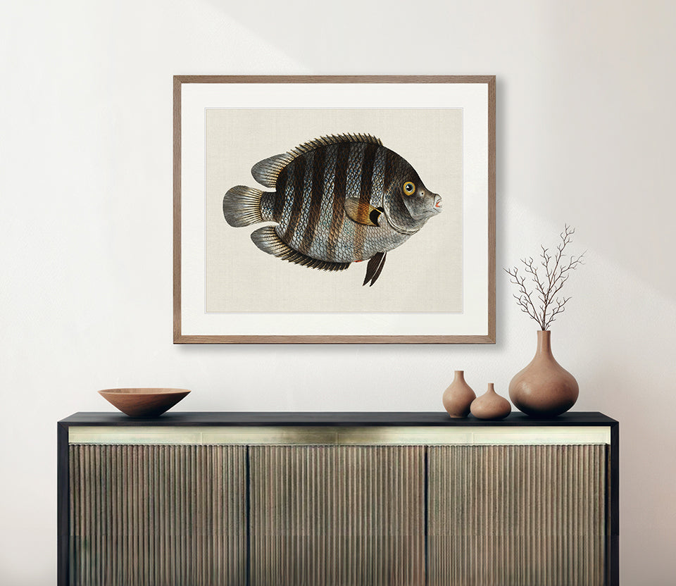 Cape Bayeau Fish I