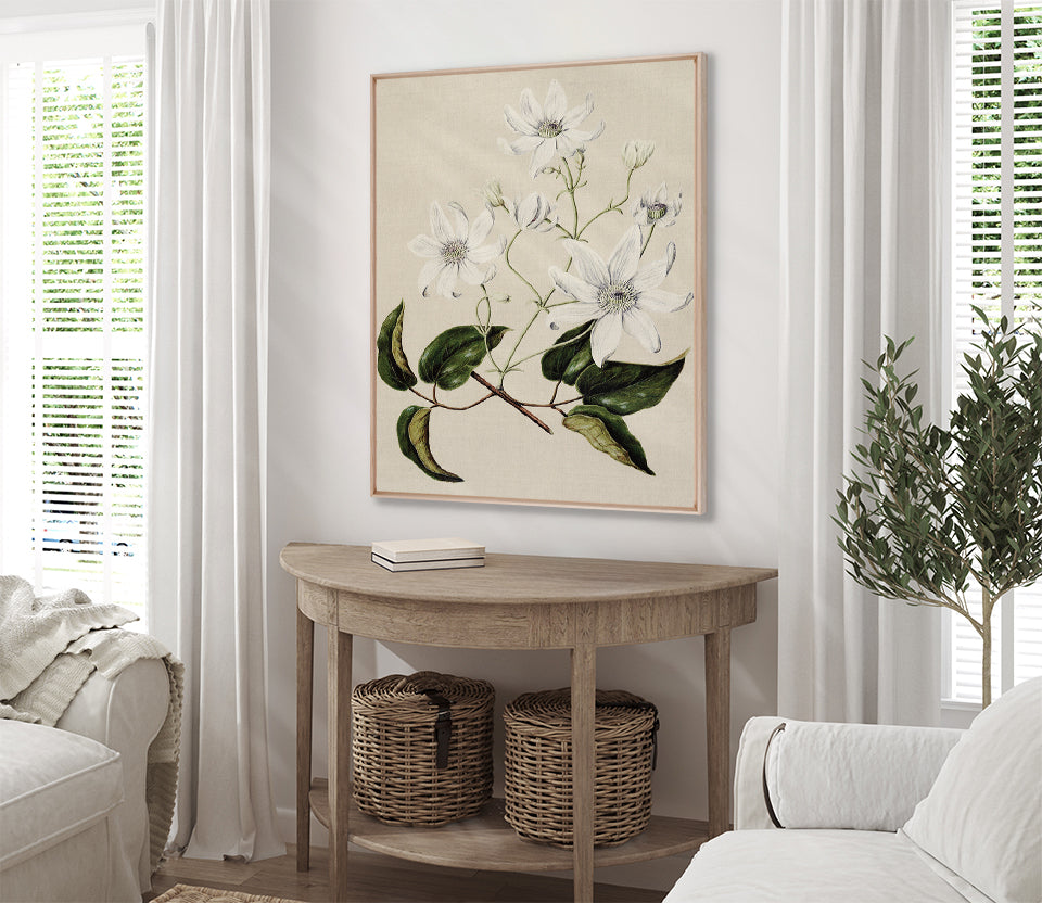 Coastal Native I (Canvas)