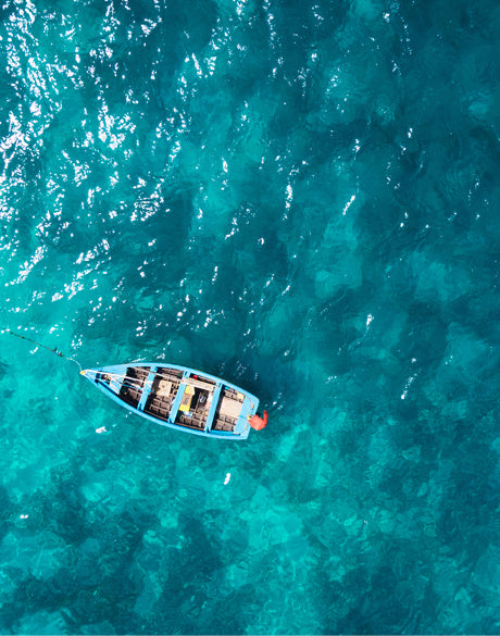 Aerial Beach V