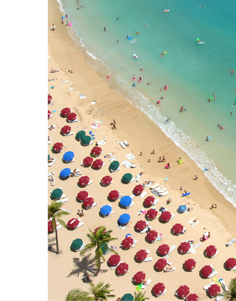 Aerial Beach XII