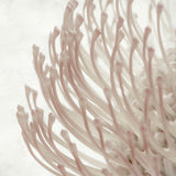 beatr01-c_3
