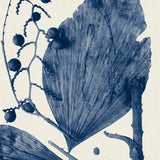 becc04-c_3