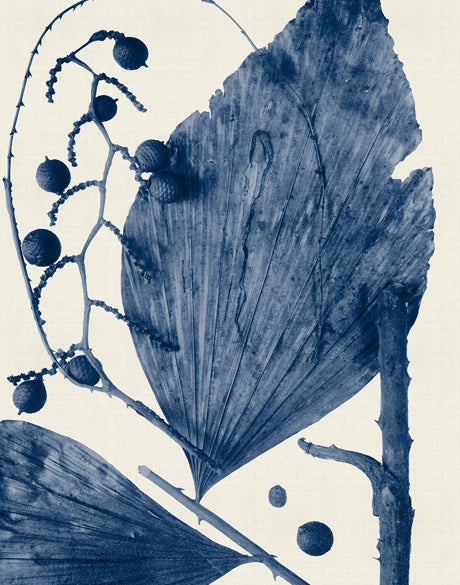 Delicate Frond IV (Indigo) (Canvas)