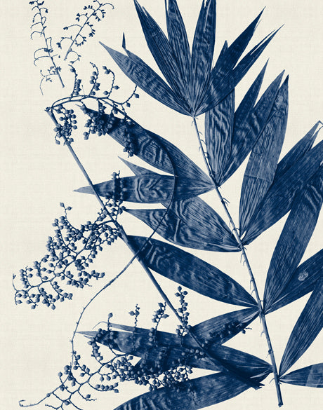 Delicate Frond VI (Indigo)  (Canvas)