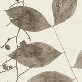 becc08_3