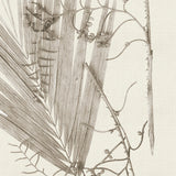 becc11-c_3