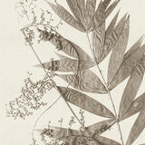 becc12_3
