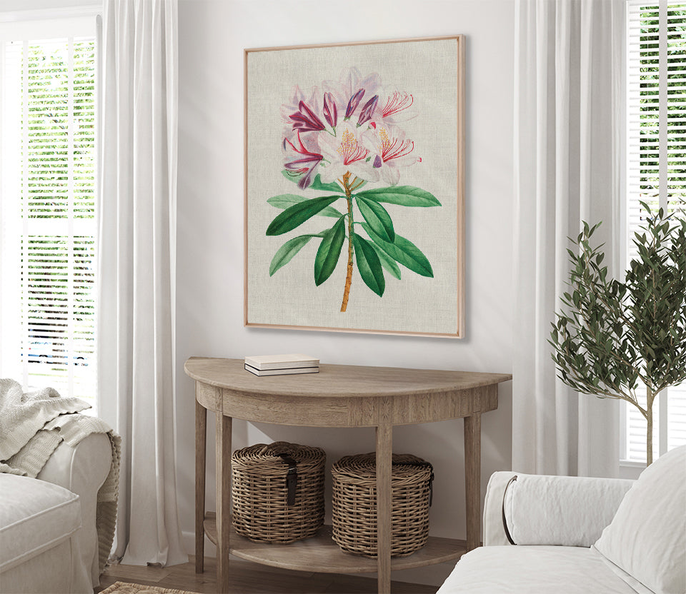 Bella Floral Beauty II (Canvas)