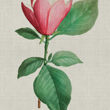 bella04-c_3