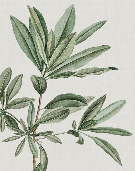 Bellevardi Tropic I (Canvas)