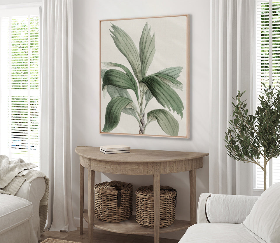 Bellevardi Tropic II (Canvas)
