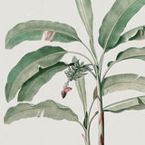 bellev04_3