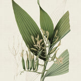 blume03_3
