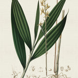 blume05_3