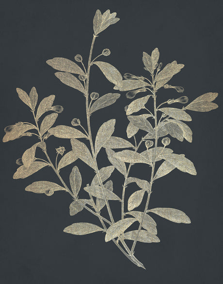 Luxe Foliage II
