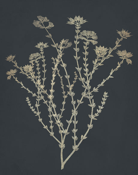 Luxe Foliage III