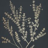 boluxe05-c-l_3