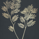 boluxe06_3