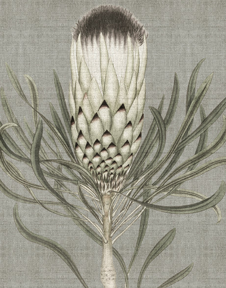 Botanist Specimen IV