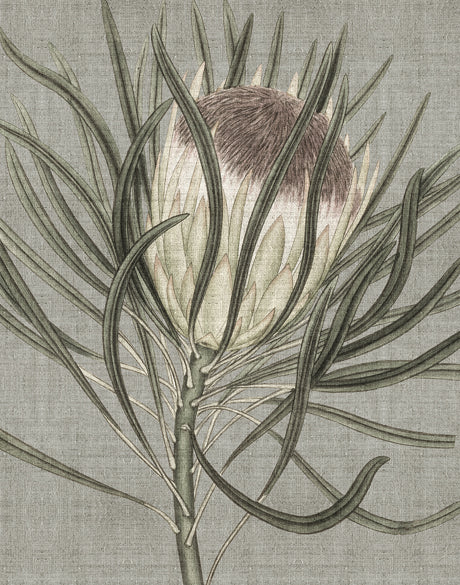 Botanist Specimen V