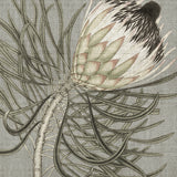 botspec06_3