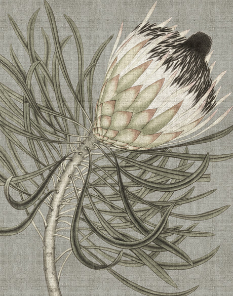 Botanist Specimen VI