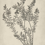 botspl01_3